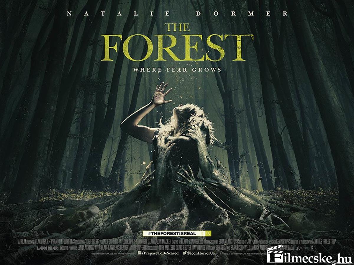the forest borito Filmecske.hu