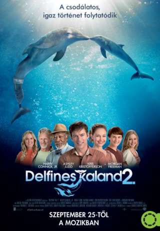 Delfines kaland 2. (Dolphin Tale 2.) - online film
