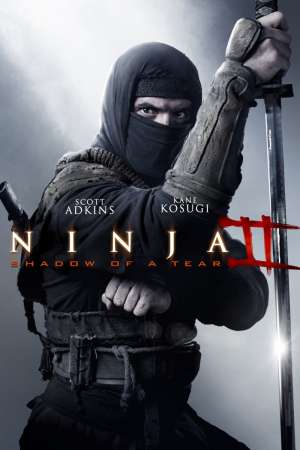 Ninja 2. - A harcos bosszúja (Ninja: Shadow of a Tear) - online film