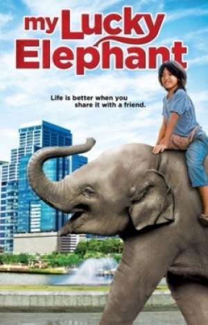 Barátom az elefántom - online film